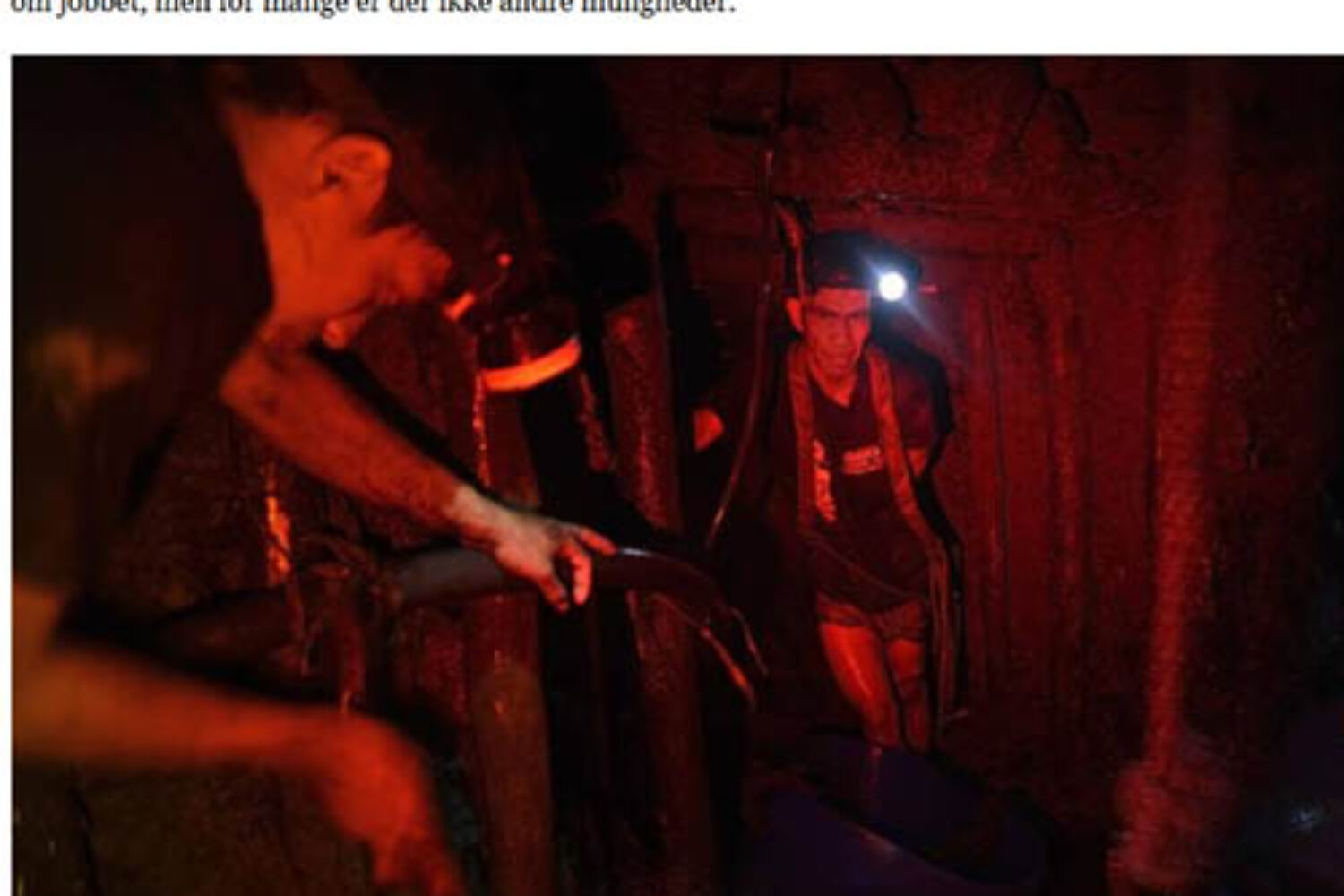 Jyllandsposten.inblick