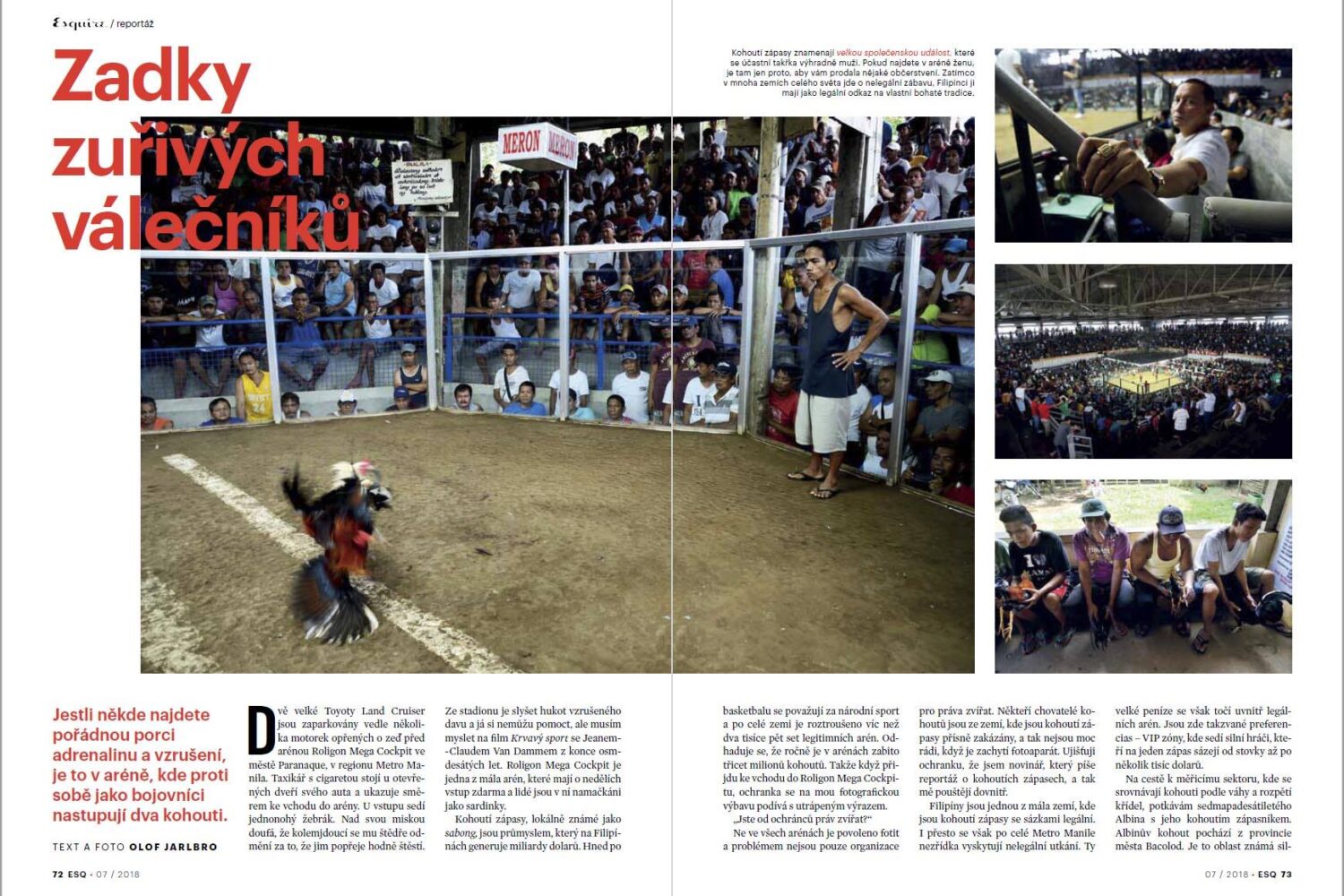 Cock fighting in Esquire magazine